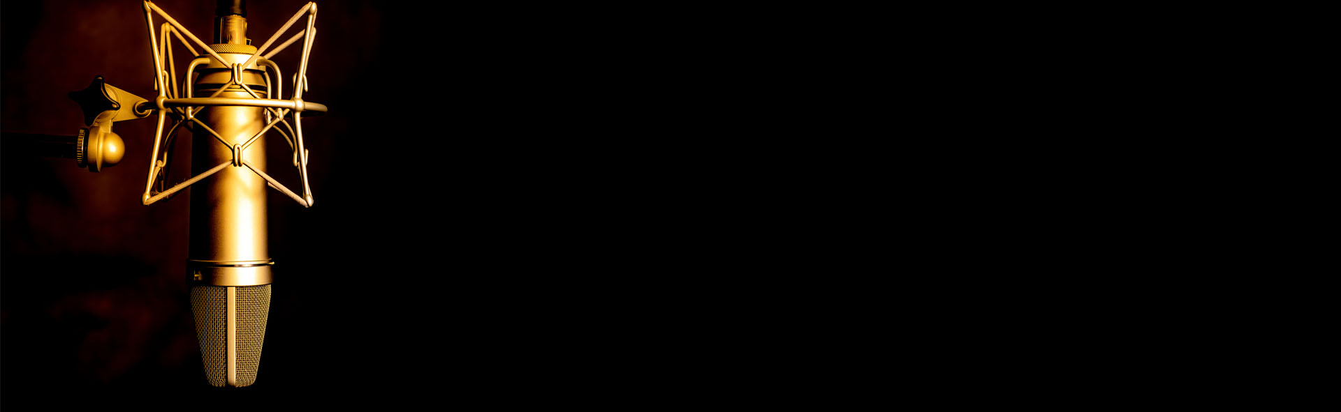 Voiceover Artist